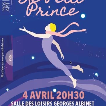 représentation Petit Prince à la salle des loisirs