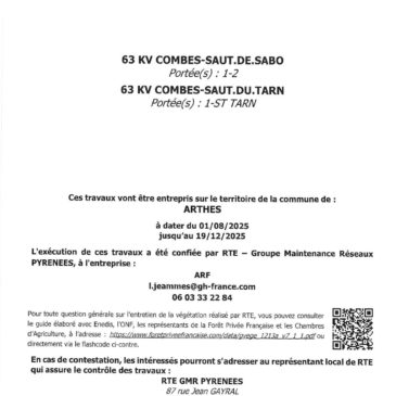 TRAVAUX D ELAGAGE et ABATTAGE
